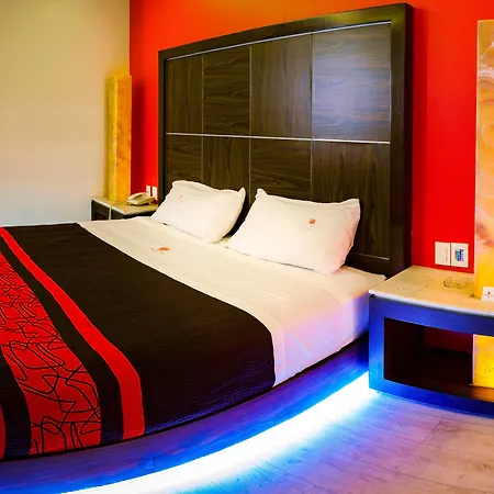 Plutarco Suites-2